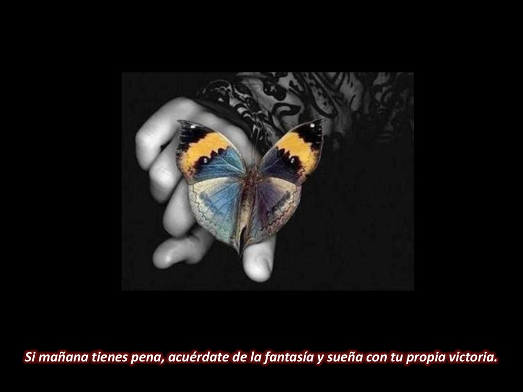 Si mañana tienes pena, acuérdate de la fantasía y sueña con tu propia victoria.