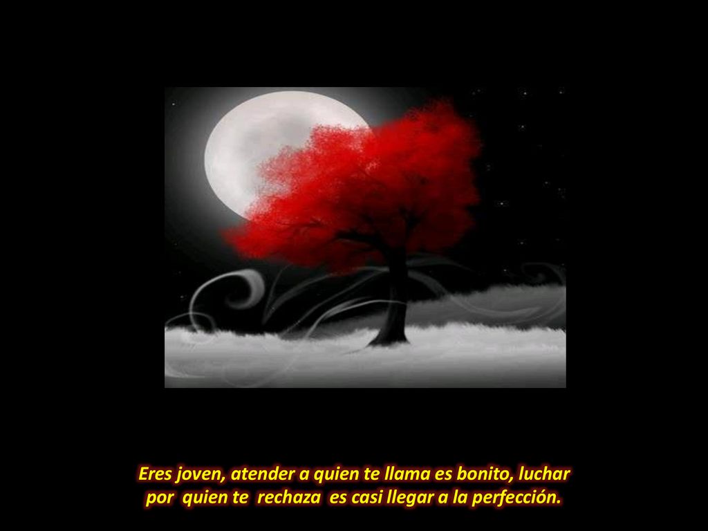 Eres joven, atender a quien te llama es bonito, luchar
