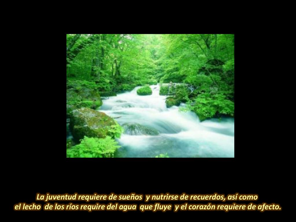 La juventud requiere de sueños y nutrirse de recuerdos, así como
