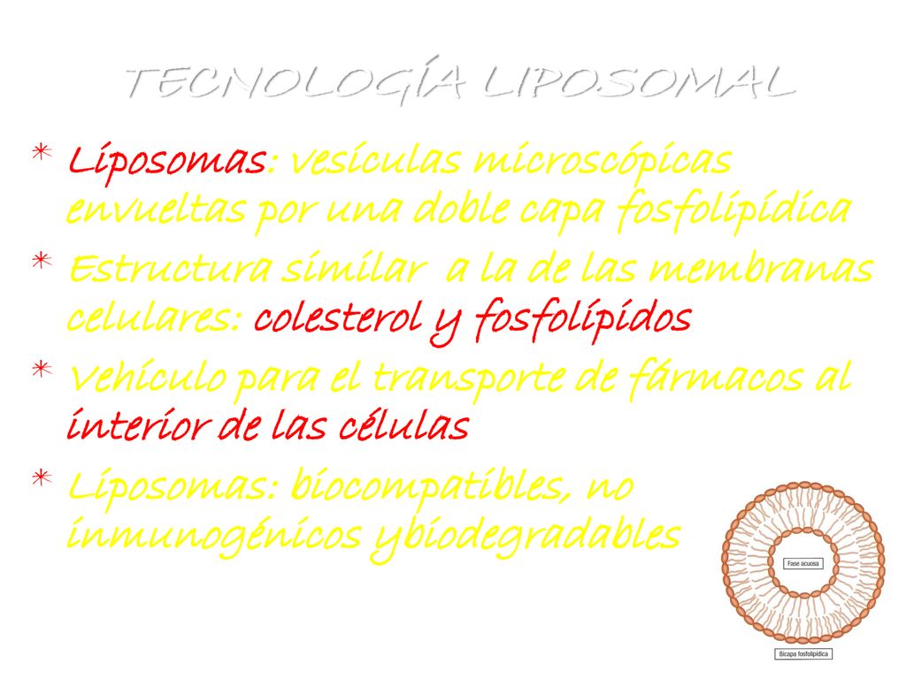 TECNOLOGÍA LIPOSOMAL Liposomas: vesículas microscópicas envueltas por una doble capa fosfolipídica.