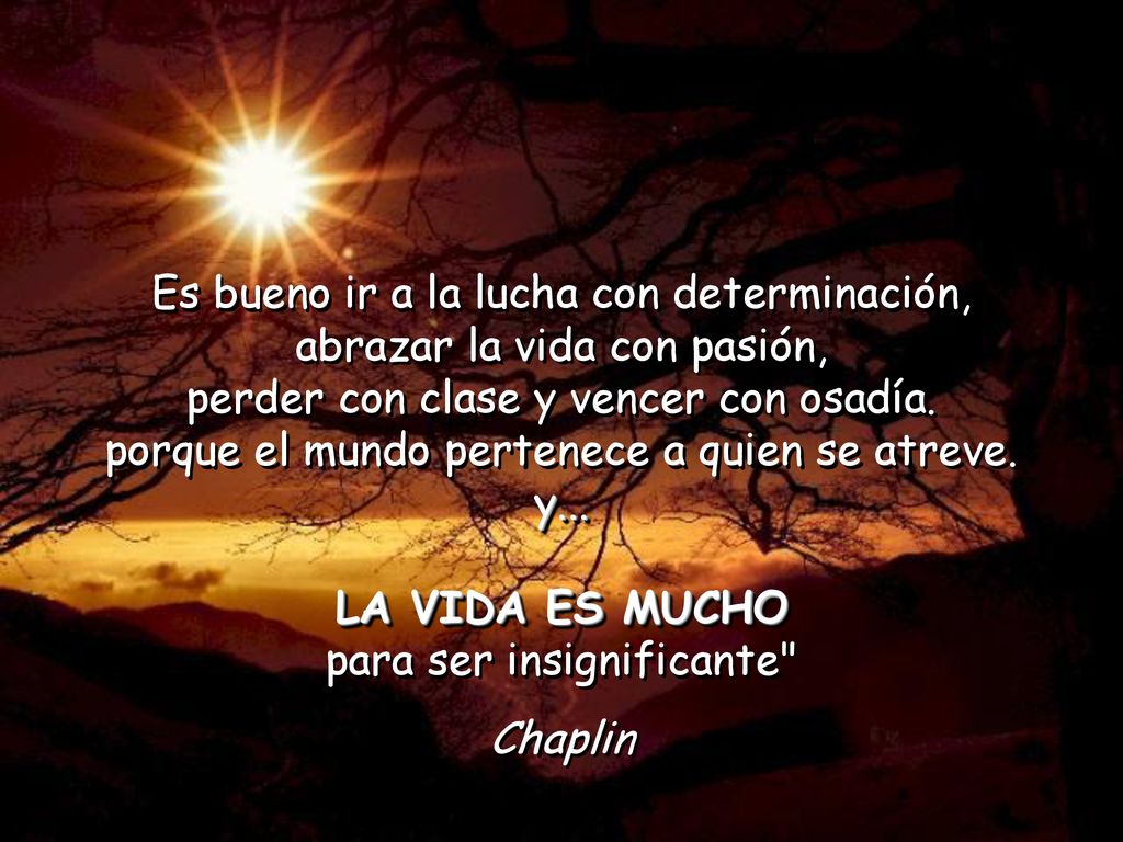 Es bueno ir a la lucha con determinación, abrazar la vida con pasión,
