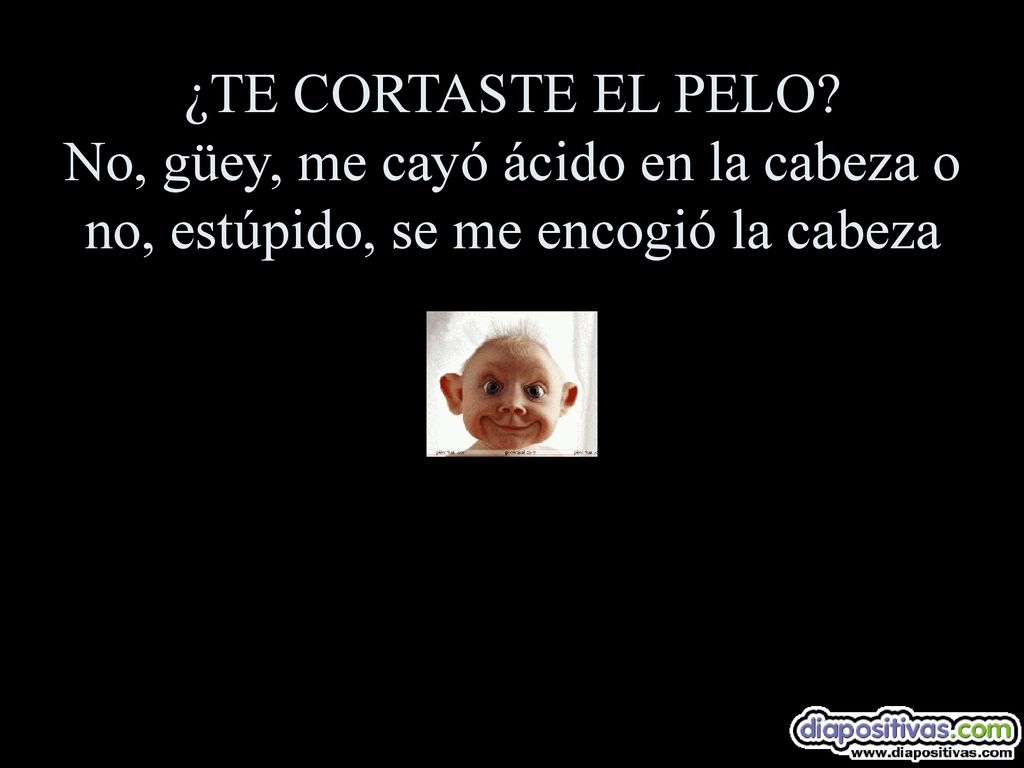 ¿TE CORTASTE EL PELO No, güey, me cayó ácido en la cabeza o no, estúpido, se me encogió la cabeza