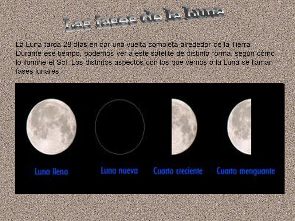 Las fases de la Luna