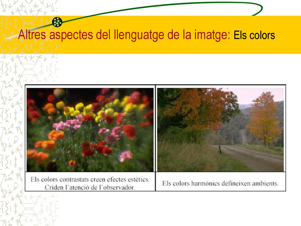 Altres aspectes del llenguatge de la imatge: Els colors