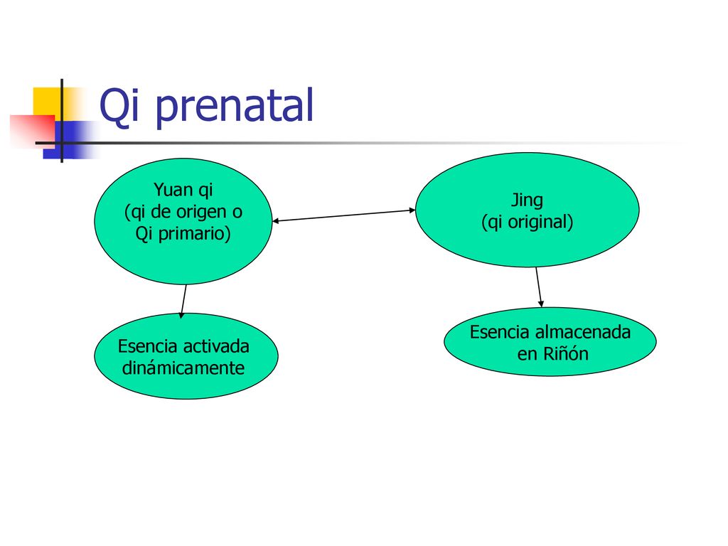 Qi prenatal Yuan qi Jing (qi de origen o (qi original) Qi primario)