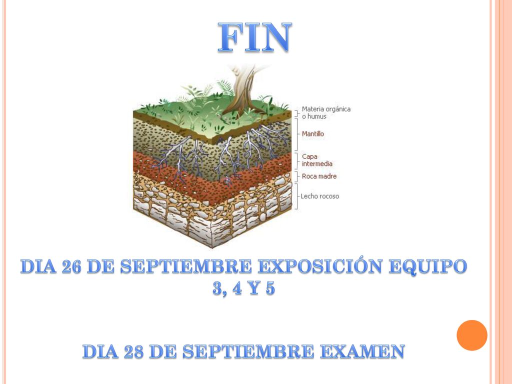 FIN DIA 26 DE SEPTIEMBRE EXPOSICIÓN EQUIPO 3, 4 Y 5