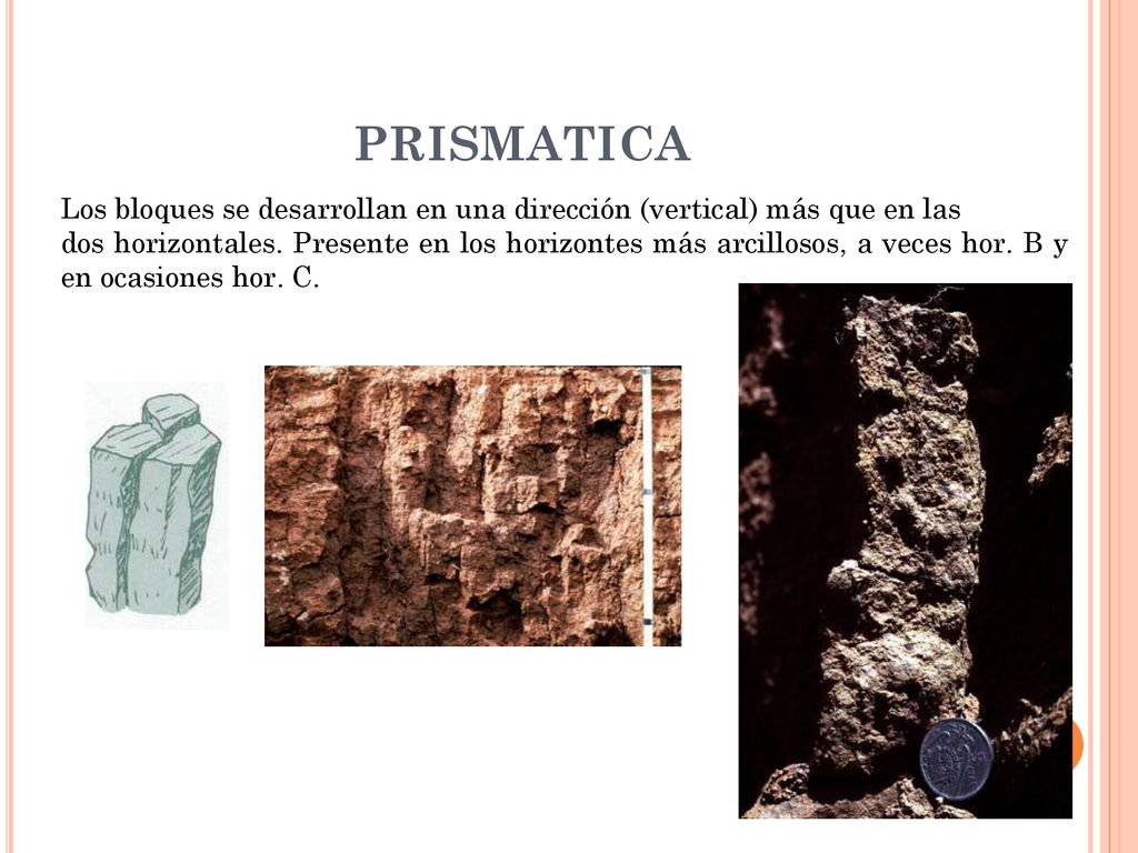 PRISMATICA Los bloques se desarrollan en una dirección (vertical) más que en las.