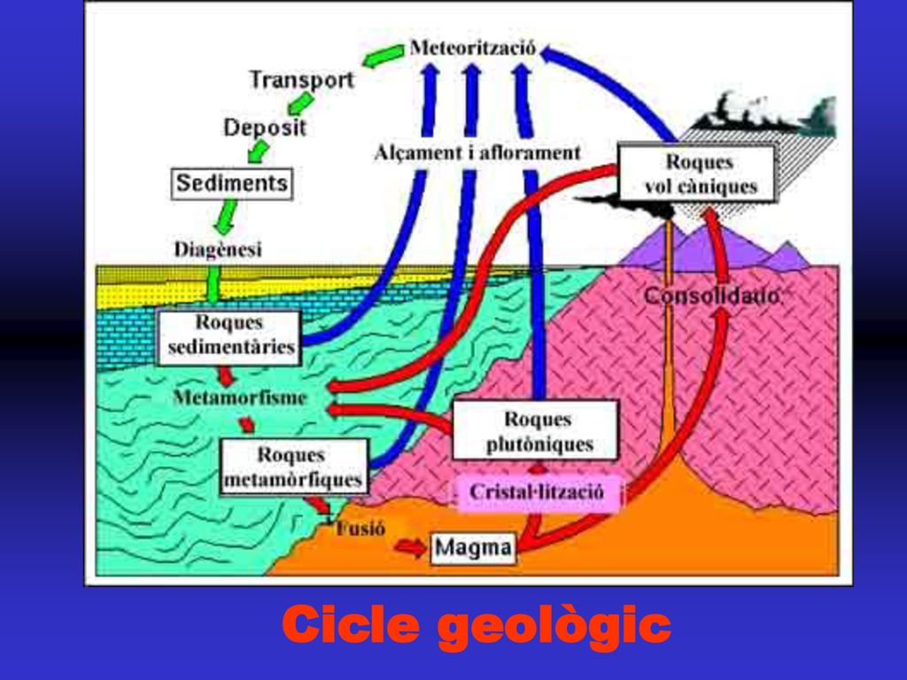 A Primària no se sol treballar el cicle geològic però ja que durant la visita es faran nombroses referències a les roques metamòrfiques i a les magmàtiques, podria ser interessant que l’alumnat conegui l’existència d’aquest cicle i tingui nocions bàsiques sobre què vol dir metamorfisme, cristal·lització, aflorament, meteorització…