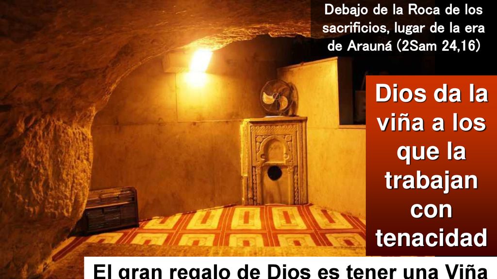 Dios da la viña a los que la trabajan con tenacidad