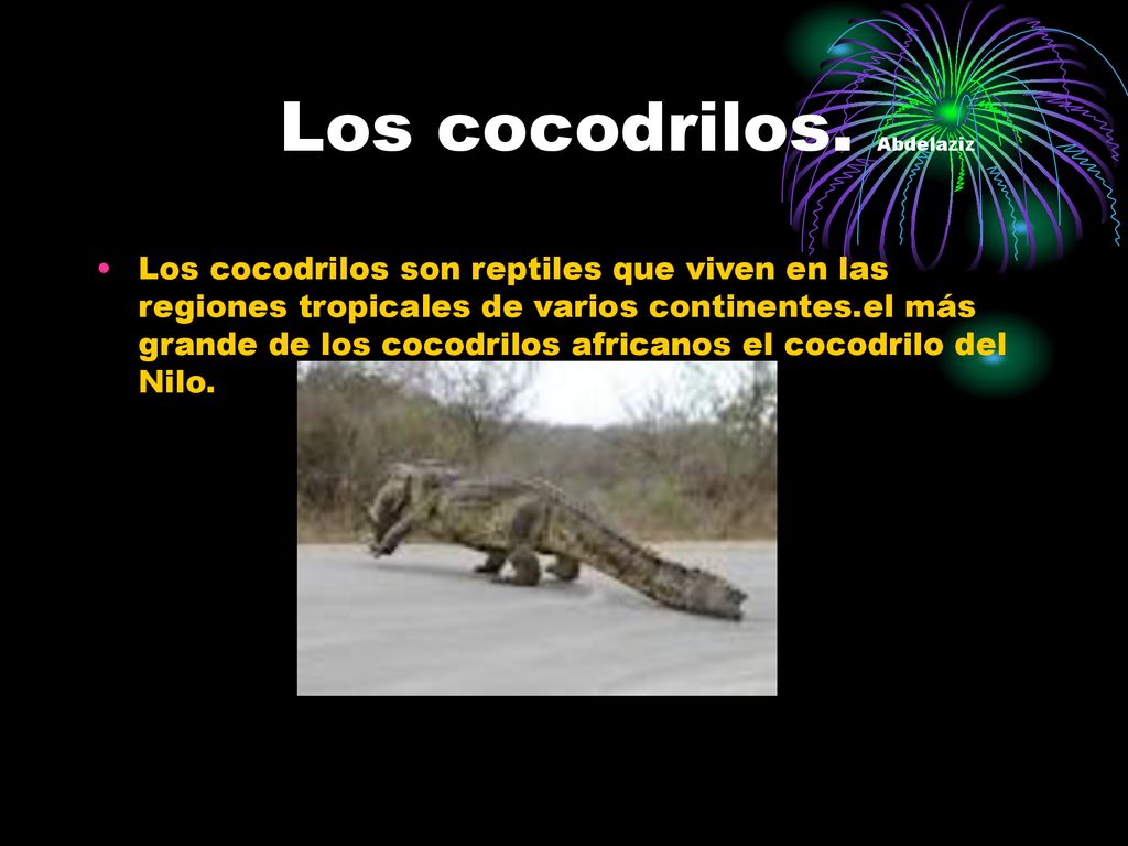 Texto expositivo del cocodrilo del nilo. - ppt descargar