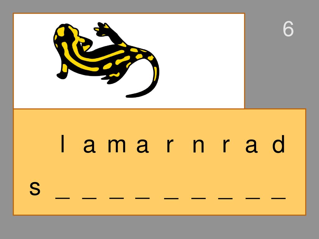 6 l a m a r n r a d s _ _ _ _ _ _ _ _ _