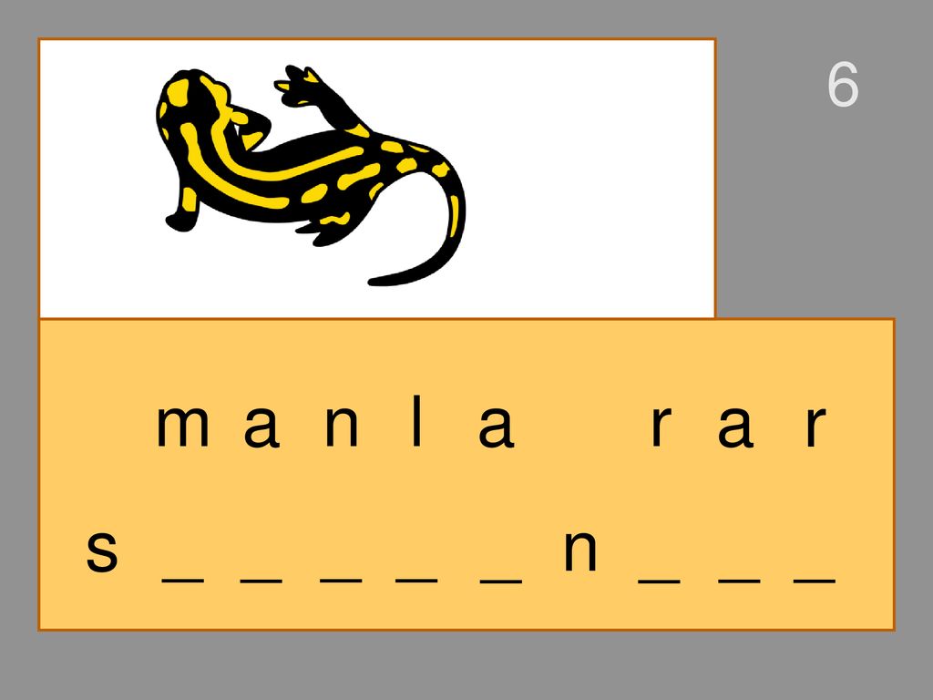 6 m a n l a r a r s _ _ _ _ _ n _ _ _