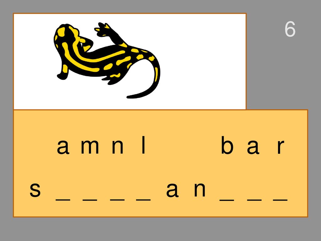 6 a m n l b a r s _ _ _ _ a n _ _ _