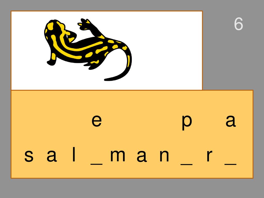 6 e p a s a l _ m a n _ r _