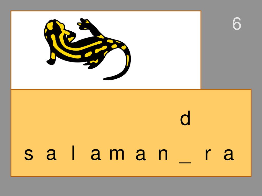 6 d s a l a m a n _ r a