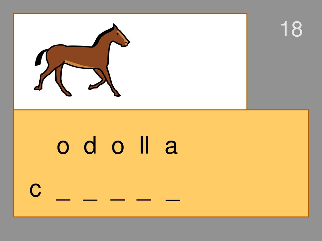 18 o d o ll a c _ _ _ _ _
