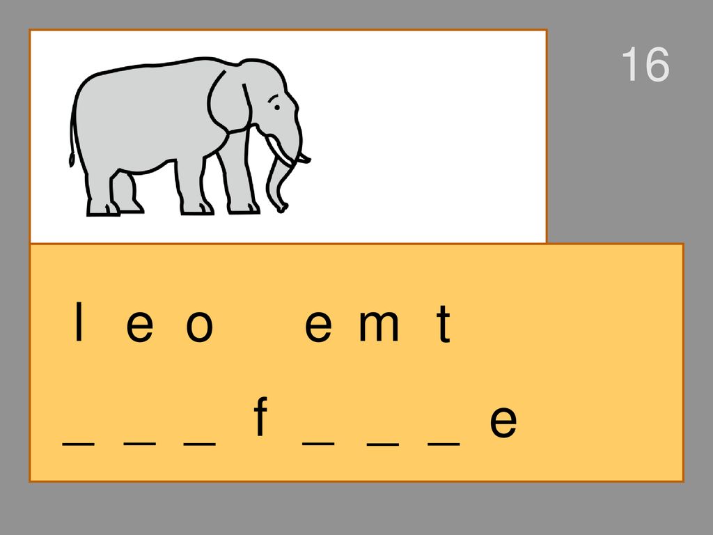 16 l e o e m t _ _ _ f _ _ _ e