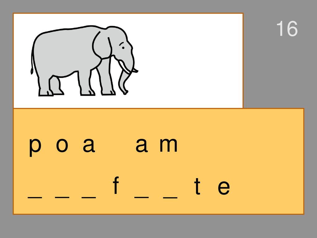 16 p o a a m _ _ _ f _ _ t e