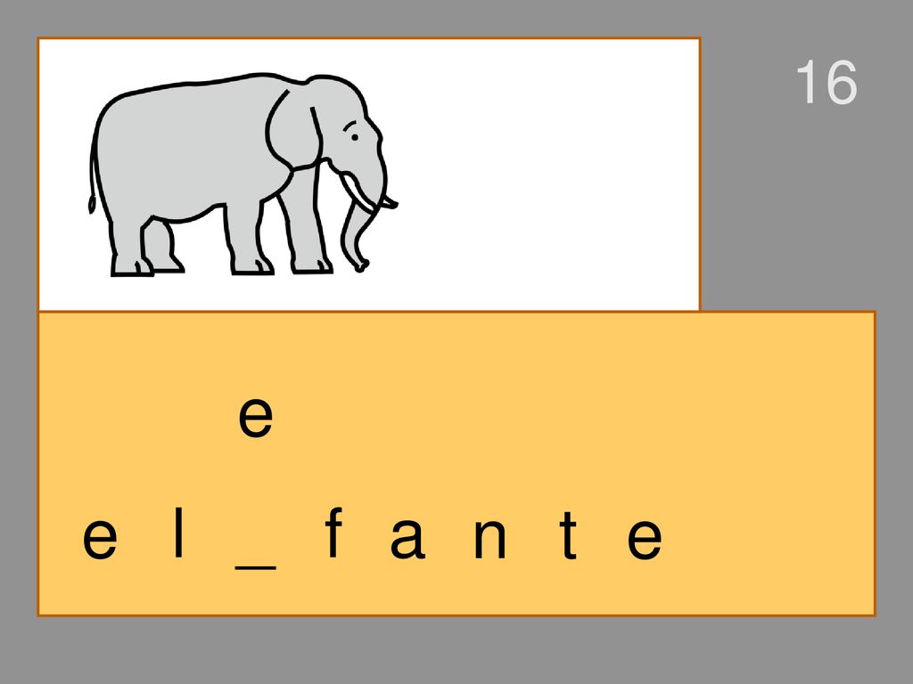16 e e l _ f a n t e