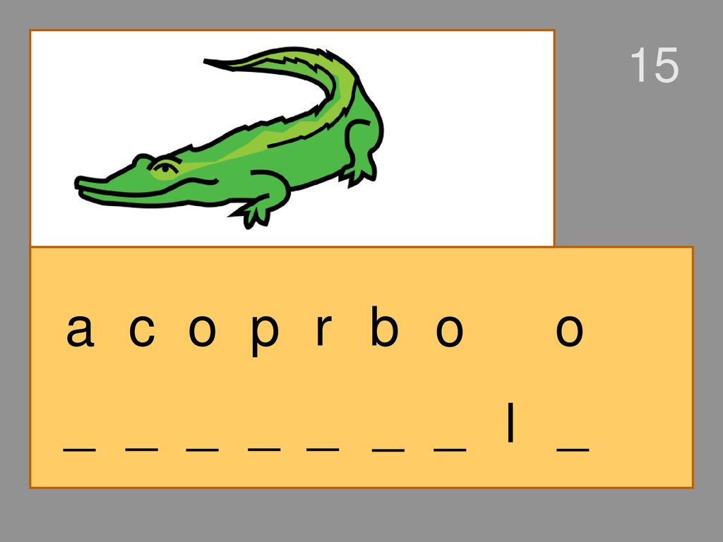 15 a c o p r b o o _ _ _ _ _ _ _ l _