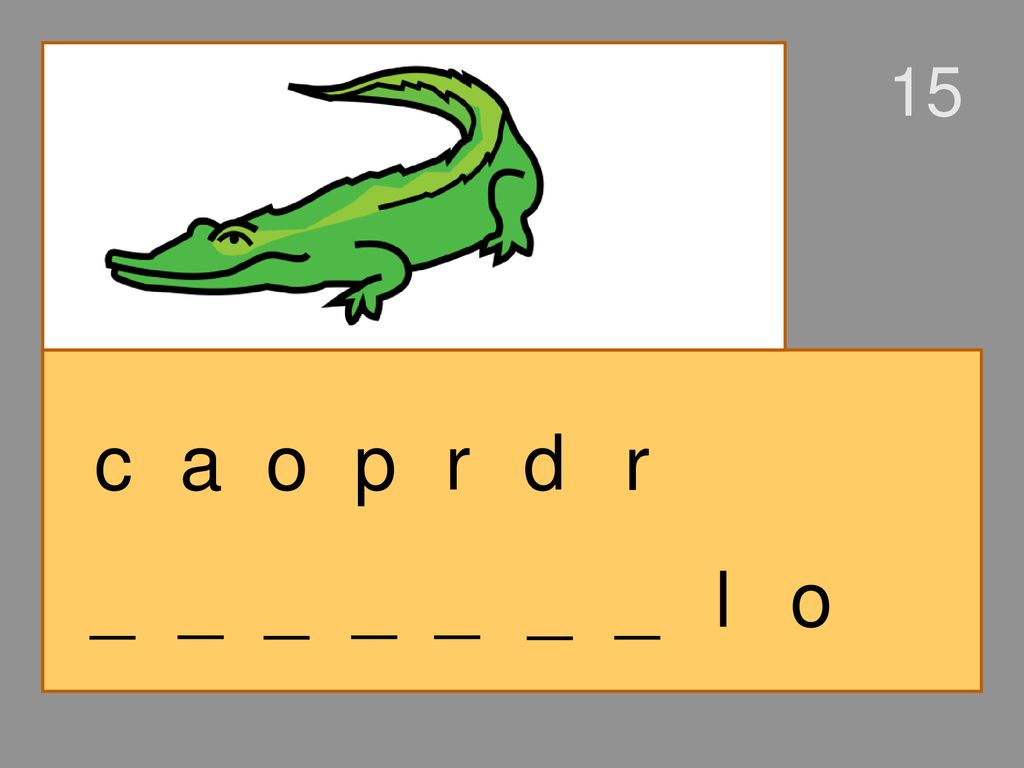 15 c a o p r d r _ _ _ _ _ _ _ l o