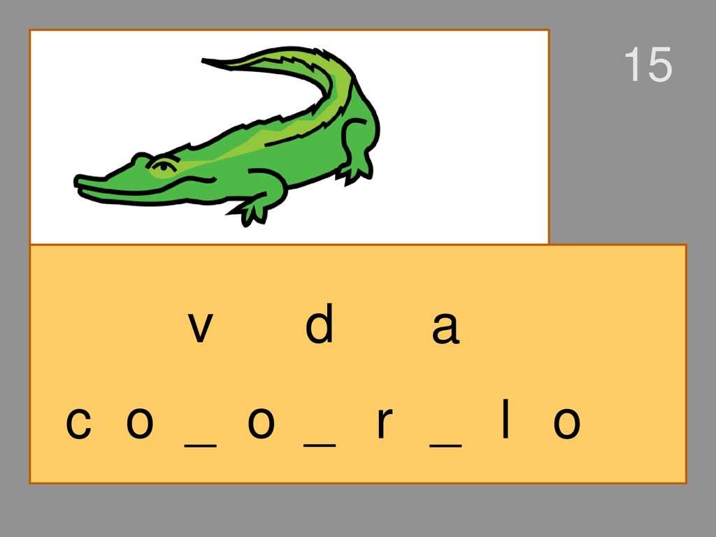 15 v d a c o _ o _ r _ l o