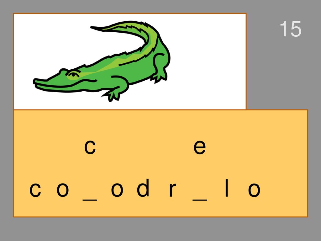 15 c e c o _ o d r _ l o