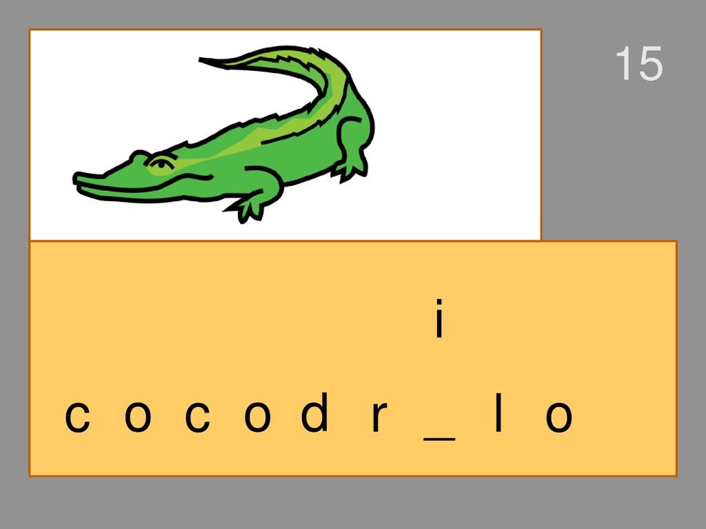 15 i c o c o d r _ l o