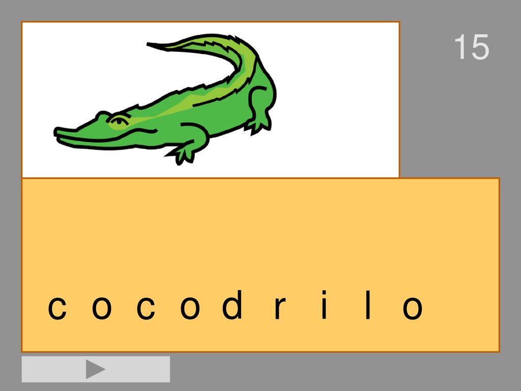 15 c o c o d r i l o