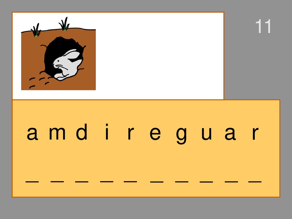 11 a m d i r e g u a r _ _ _ _ _ _ _ _ _ _