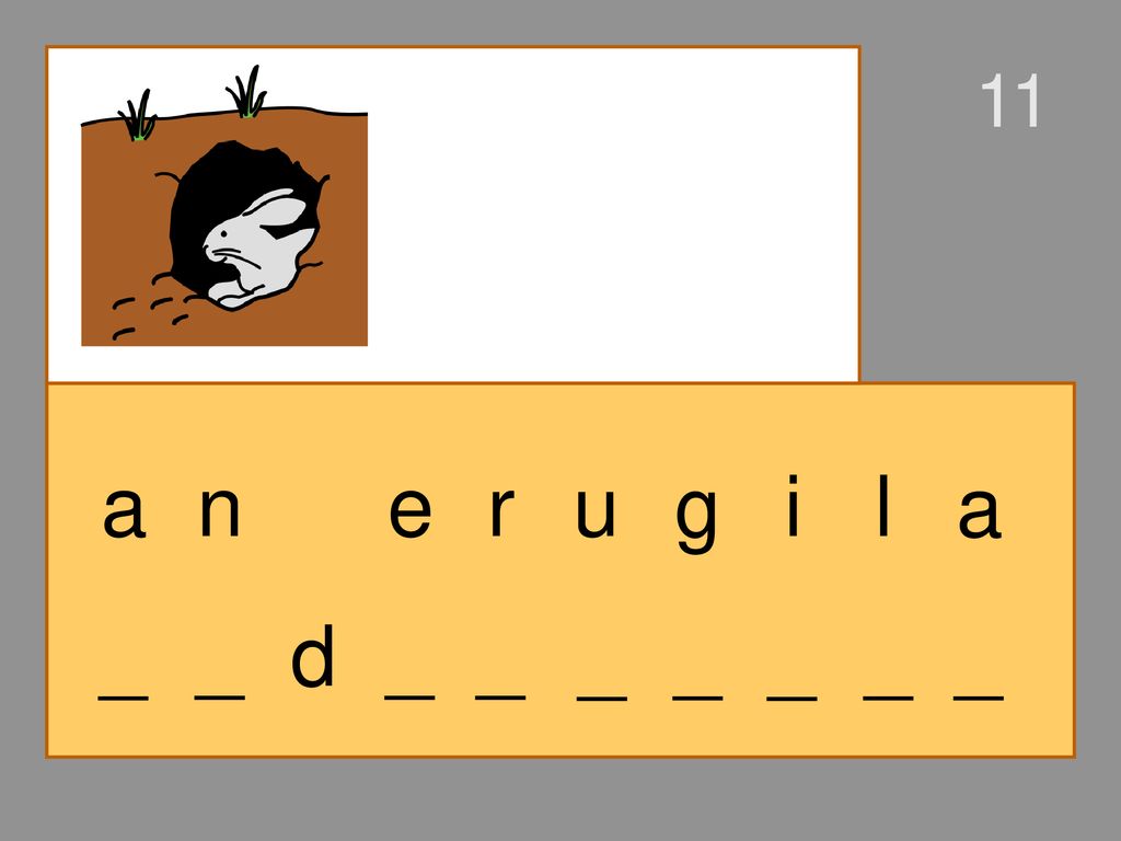 11 a n e r u g i l a _ _ d _ _ _ _ _ _ _