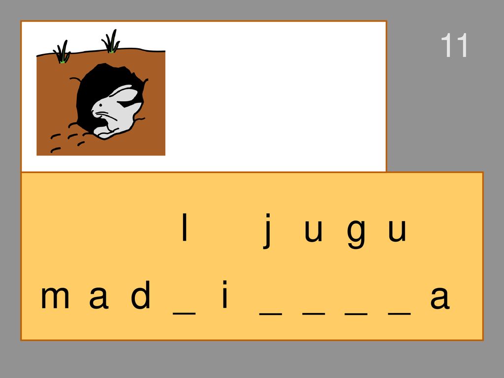 11 l j u g u m a d _ i _ _ _ _ a
