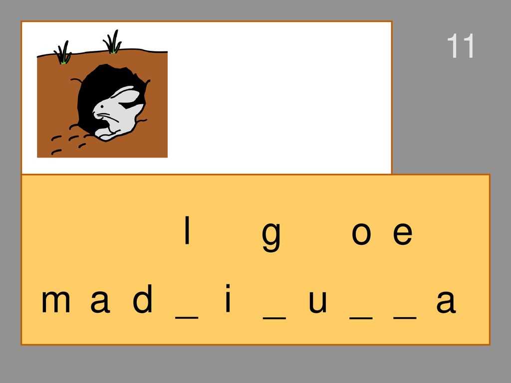 11 l g o e m a d _ i _ u _ _ a