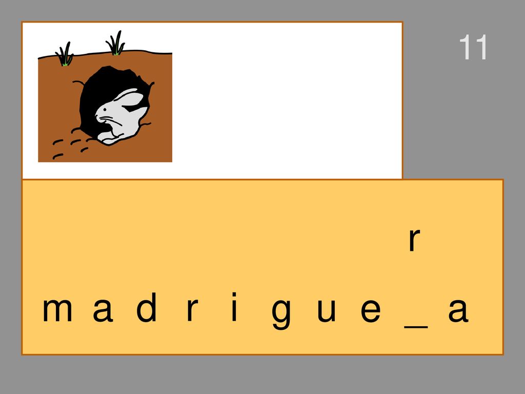 11 r m a d r i g u e _ a