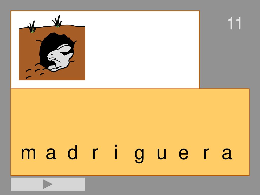 11 m a d r i g u e r a