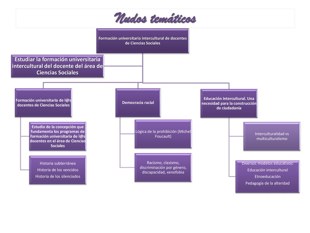 Nudos temáticos Formación universitaria intercultural de docentes de Ciencias Sociales. Formación universitaria de docentes de Ciencias Sociales.