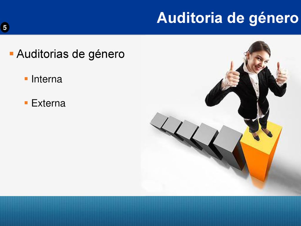 Auditoria de género 5 Auditorias de género Interna Externa