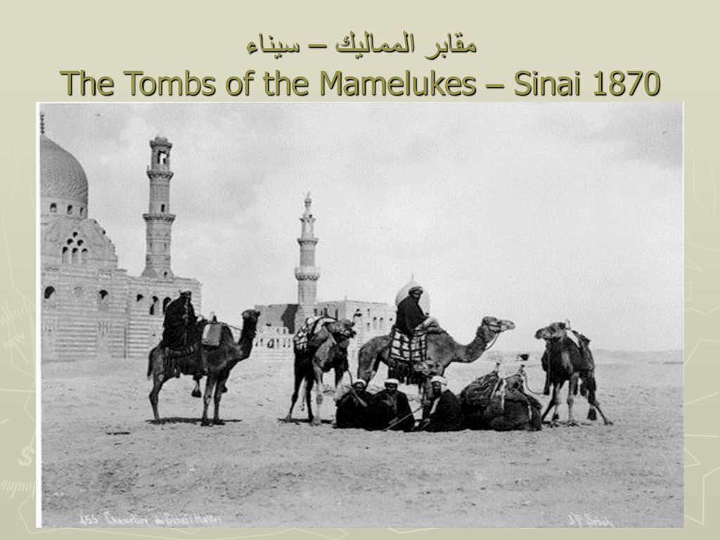 مقابر المماليك – سيناء The Tombs of the Mamelukes – Sinai 1870