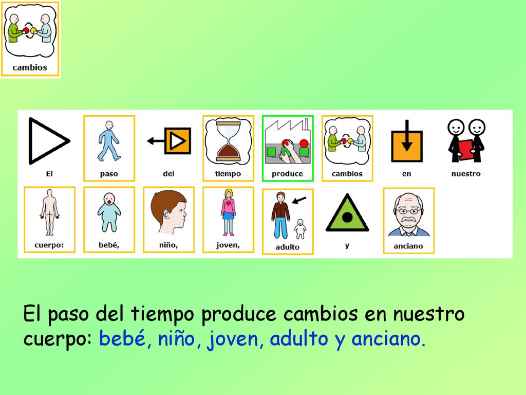El paso del tiempo produce cambios en nuestro cuerpo: bebé, niño, joven, adulto y anciano.