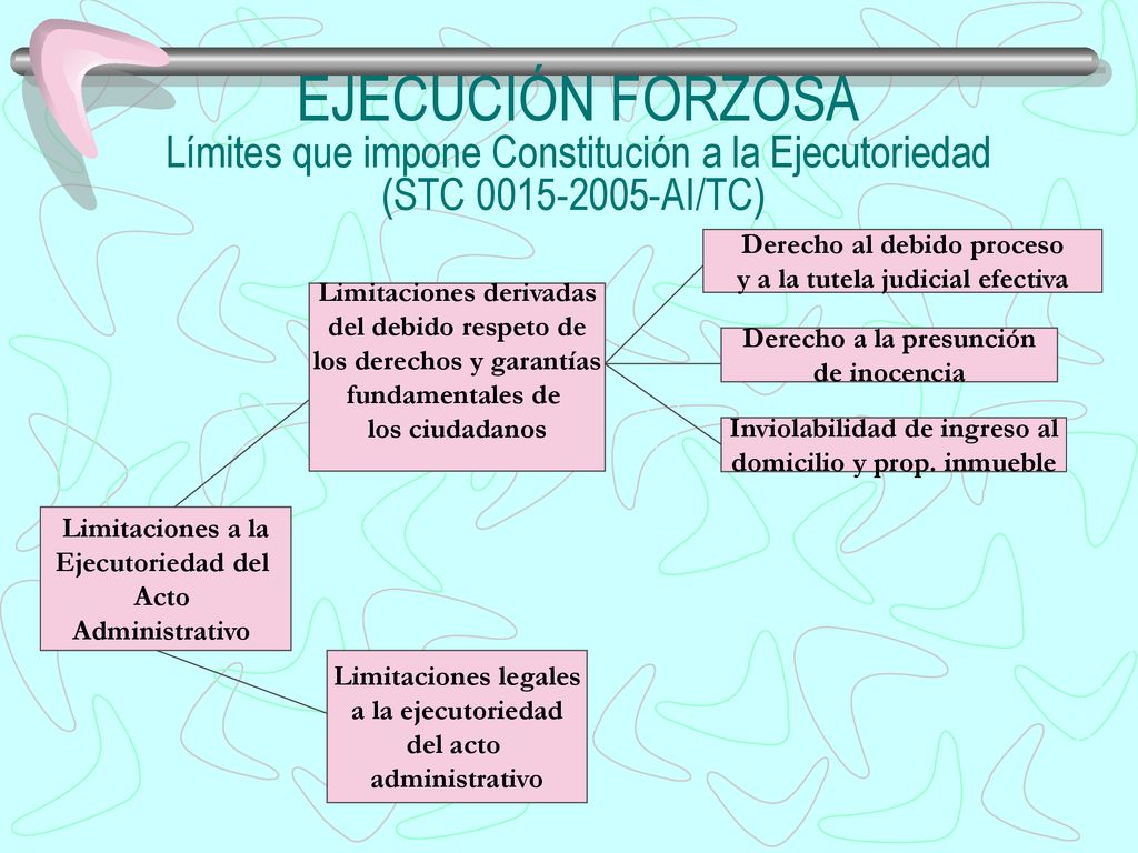 EJECUCIÓN FORZOSA Límites que impone Constitución a la Ejecutoriedad (STC AI/TC)