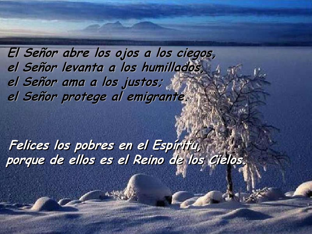 El Señor abre los ojos a los ciegos, el Señor levanta a los humillados, el Señor ama a los justos; el Señor protege al emigrante.