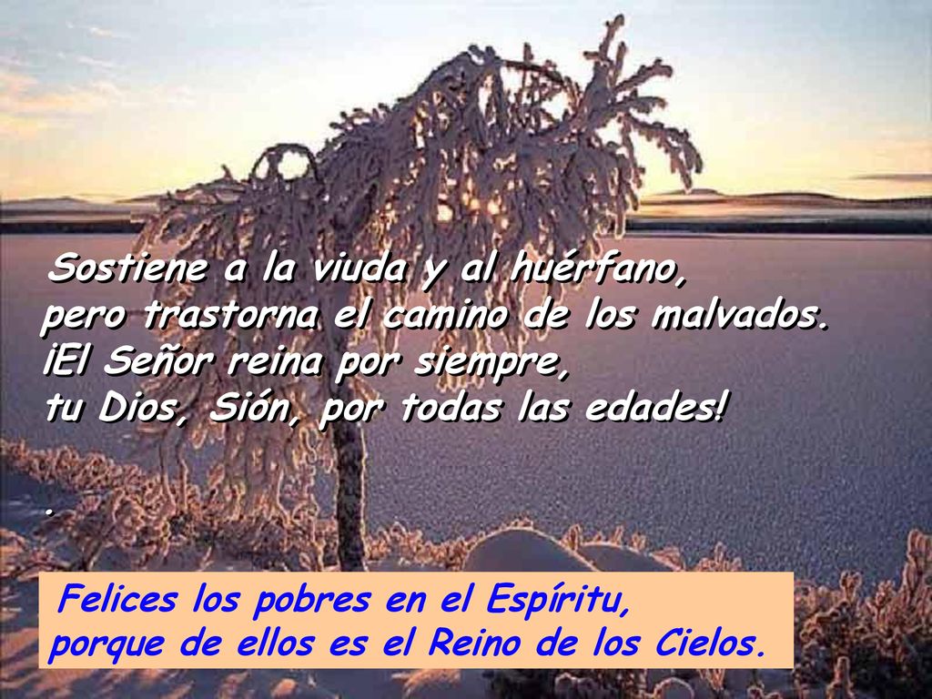 Sostiene a la viuda y al huérfano, pero trastorna el camino de los malvados. ¡El Señor reina por siempre, tu Dios, Sión, por todas las edades!