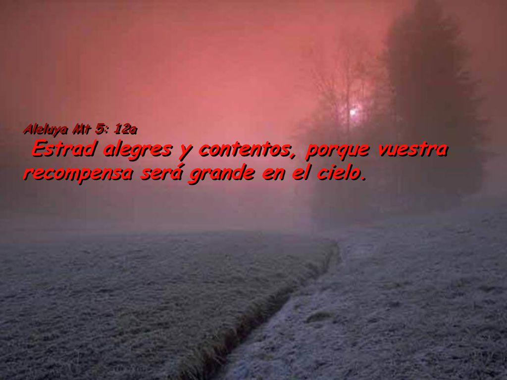 Aleluya Mt 5: 12a Estrad alegres y contentos, porque vuestra recompensa será grande en el cielo.