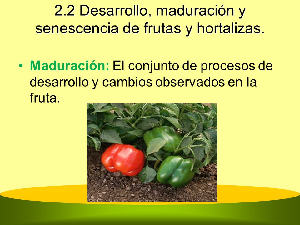 2.2 Desarrollo, maduración y senescencia de frutas y hortalizas.