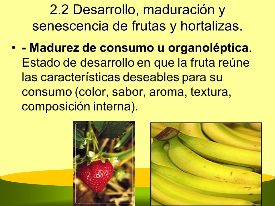 2.2 Desarrollo, maduración y senescencia de frutas y hortalizas.
