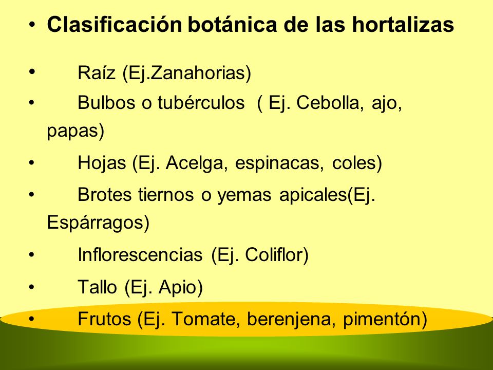 Clasificación botánica de las hortalizas Raíz (Ej.Zanahorias)