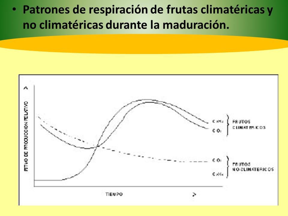 Patrones de respiración de frutas climatéricas y no climatéricas durante la maduración.