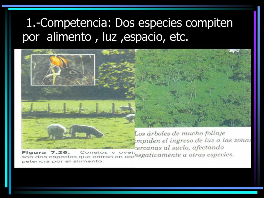 1.-Competencia: Dos especies compiten por alimento , luz ,espacio, etc.