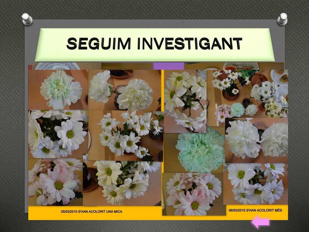 SEGUIM INVESTIGANT Naia – Llavors vam seguir investigant i mirant si el resultat canviava.