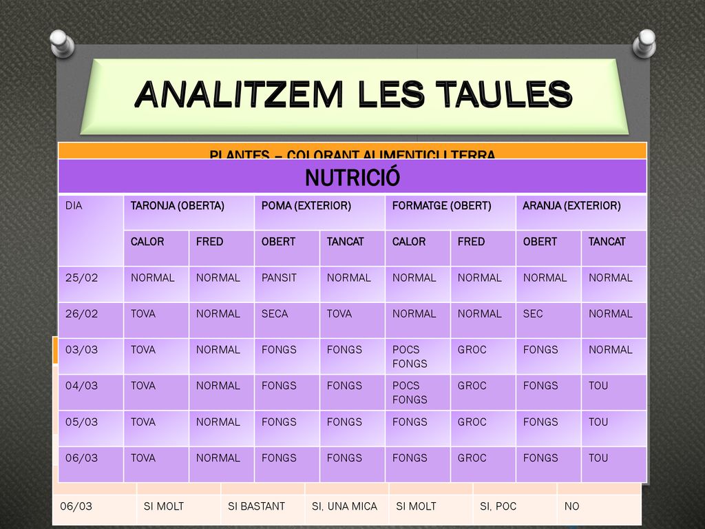 PLANTES – COLORANT ALIMENTICI I TERRA
